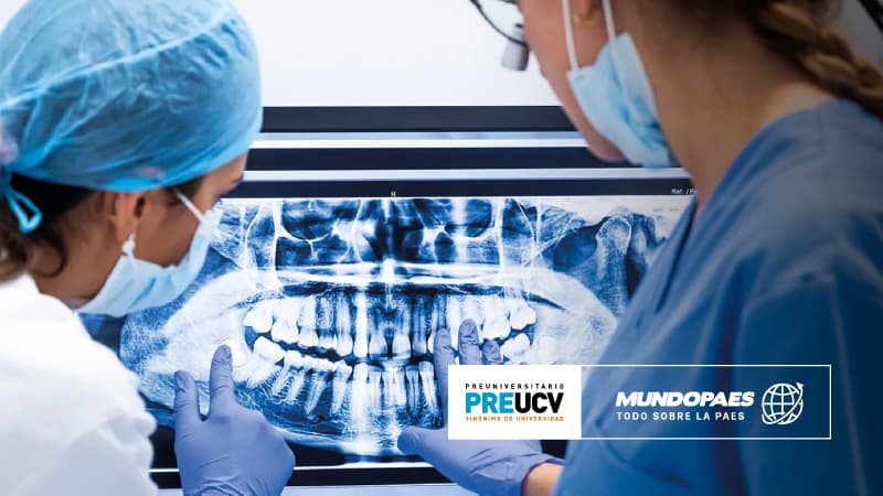 Carreras universitarias: Odontología